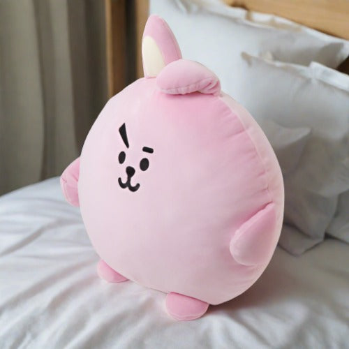 BT21 Plush Pillow